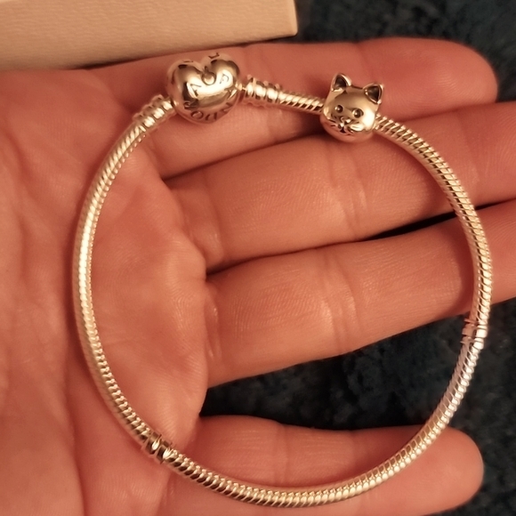 PANDORA - Picture 1 of 6